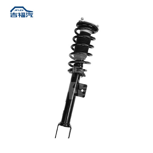 Front Left Shock Strut Assembly Fit Tesla Model 3 M3 RWD 1044092-00-A 2017-2021